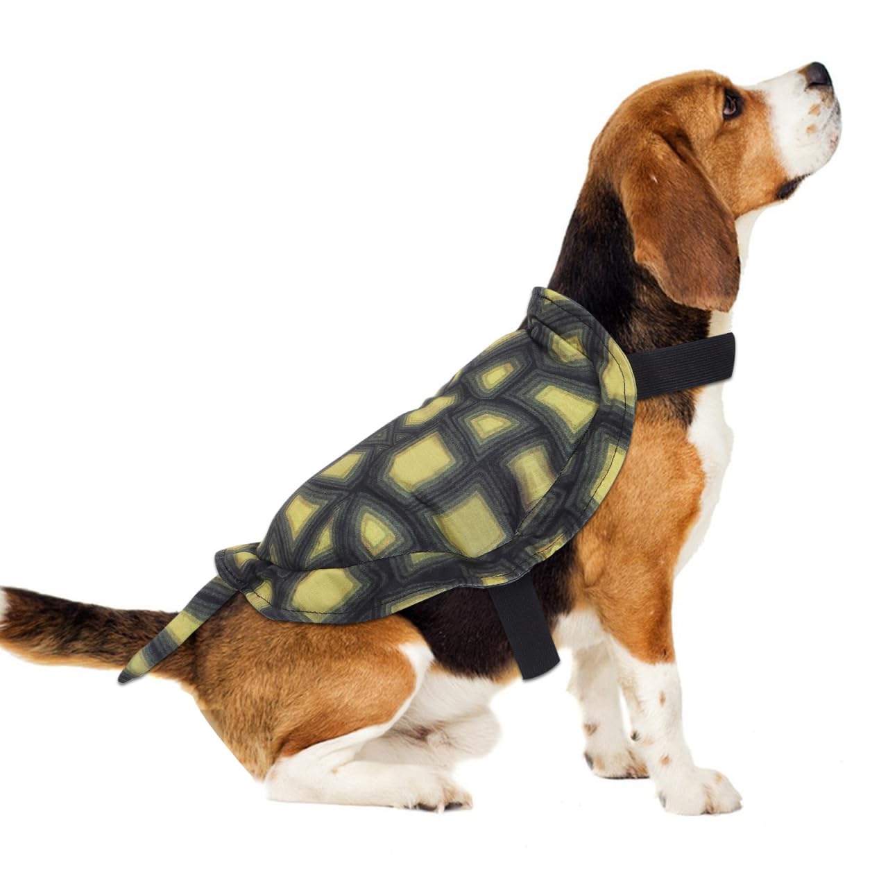 YARNOW Dog Turtle Shell Costume, Fun Pet Costumes for Halloween Parties and Festivities, Easy to Wear and Clean (Size L)