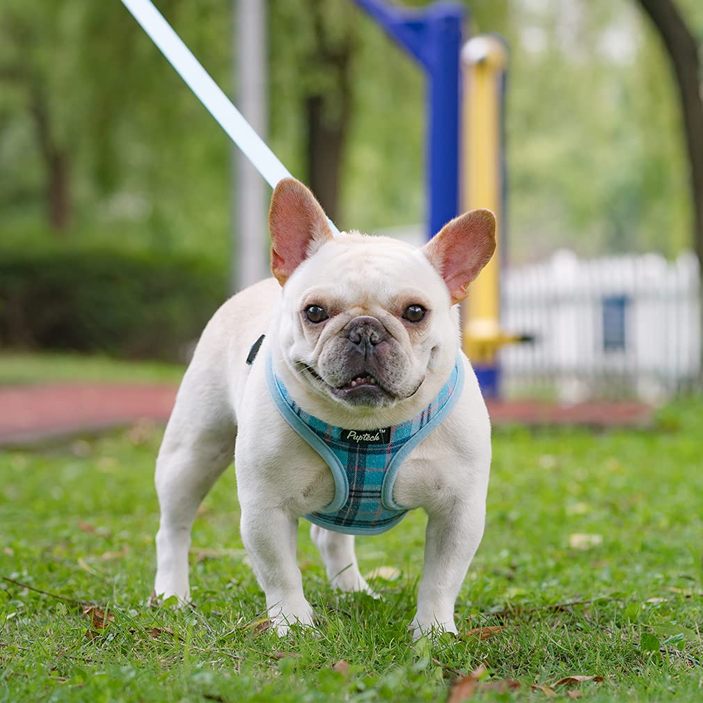 Pupteck Soft Mesh Dog Harness And Leash Set Pet Puppy Cat Comfort Padded Vest No Pull Harnesses, Light Blue, L