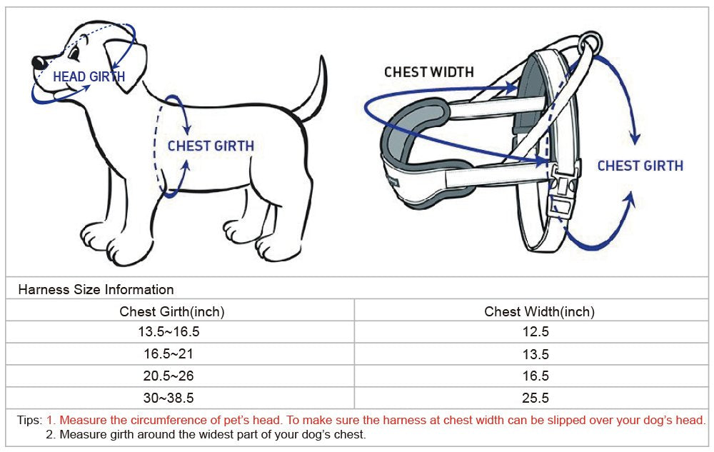 Blueberry Pet 8 Colors Soft & Comfy 3M Reflective Strips Padded Dog Harness Vest, Chest Girth 20.5' - 26', Lake Blue, Medium, Nylon Adjustable Training Harnesses For Dogs