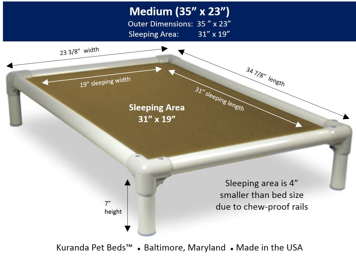Kuranda Chewproof Bed - Almond PVC - 35'' x 23'' - Cordura Nylon - Gold