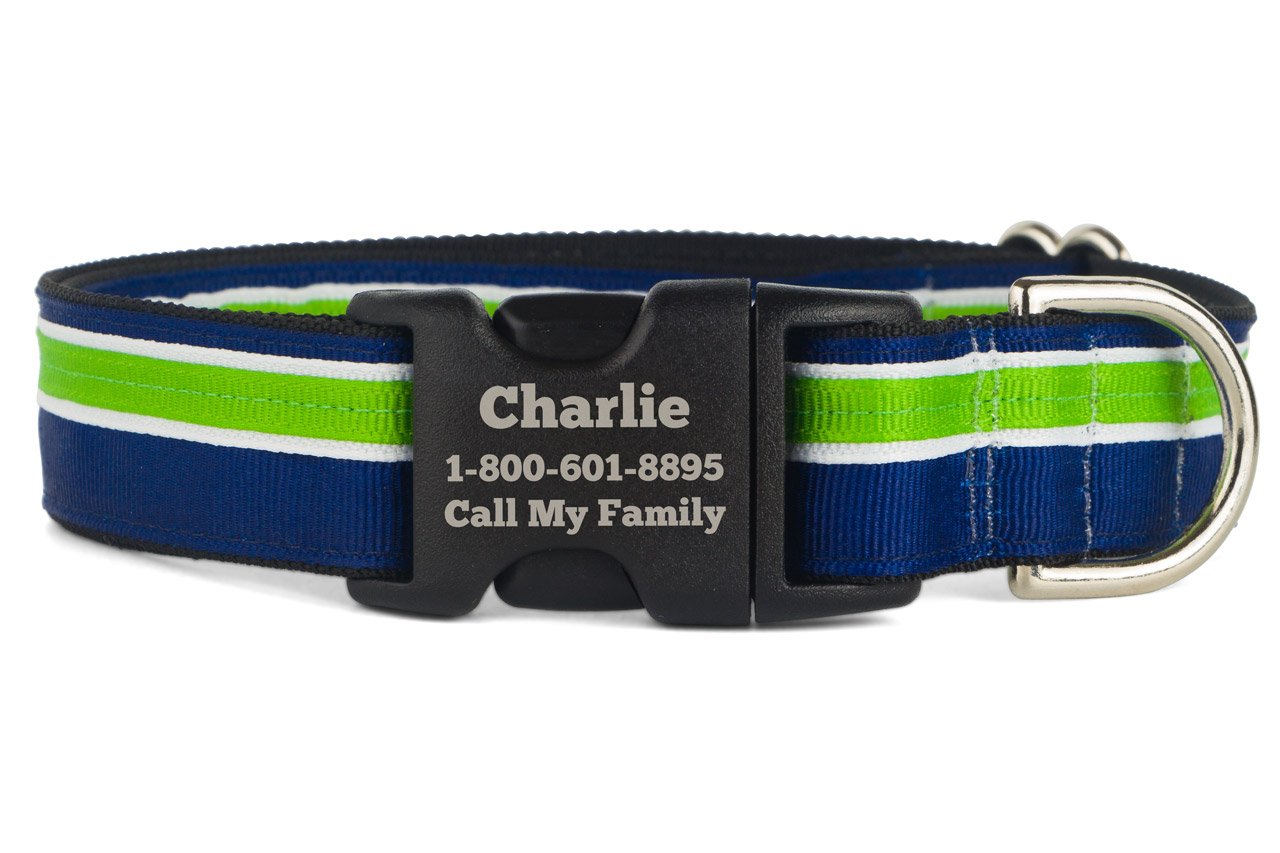 If It Barks Personalized 1 Striped Dog Collar - Engraved Name - Custom Size, Finley
