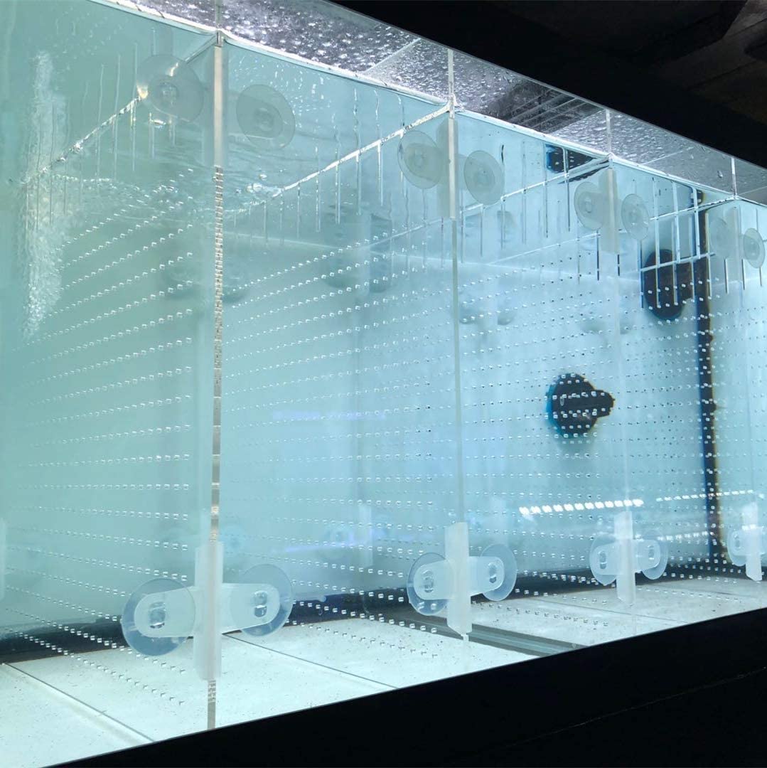 Acrylic Aquarium Divider Kit 5.5/10 / 20L / 20H / 29 / 40B / 55/75 / 125Gal Fish Tank With Suction Cups