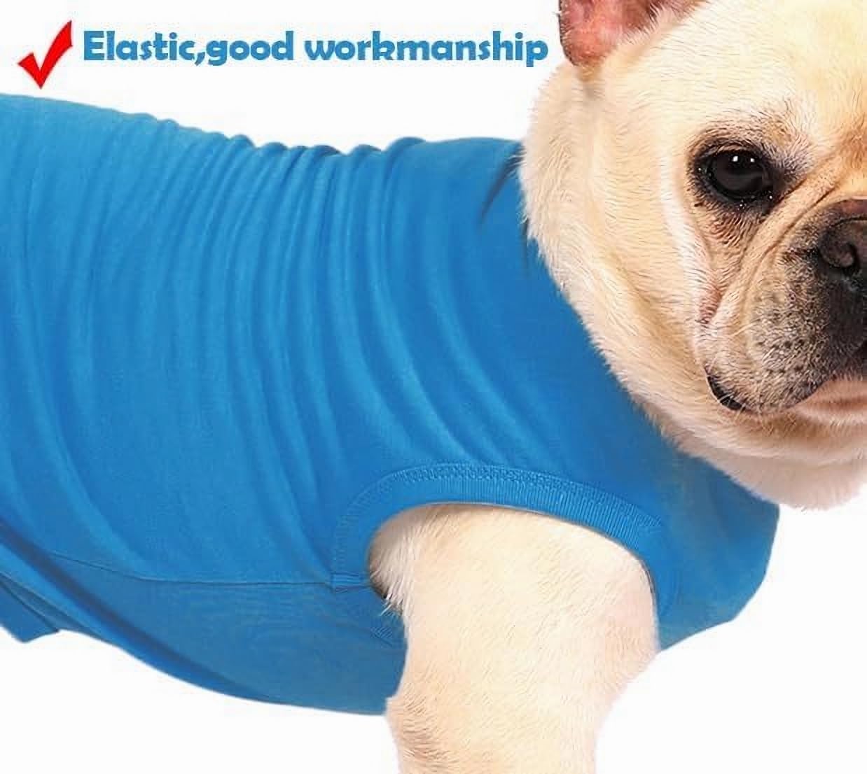 Sychien Dog Blank Blue Shirt,Boy Girl Dogs Cats Tee Shirts,Plain Extra Small Chihuahua T-Shirt,Xs Blue Royal