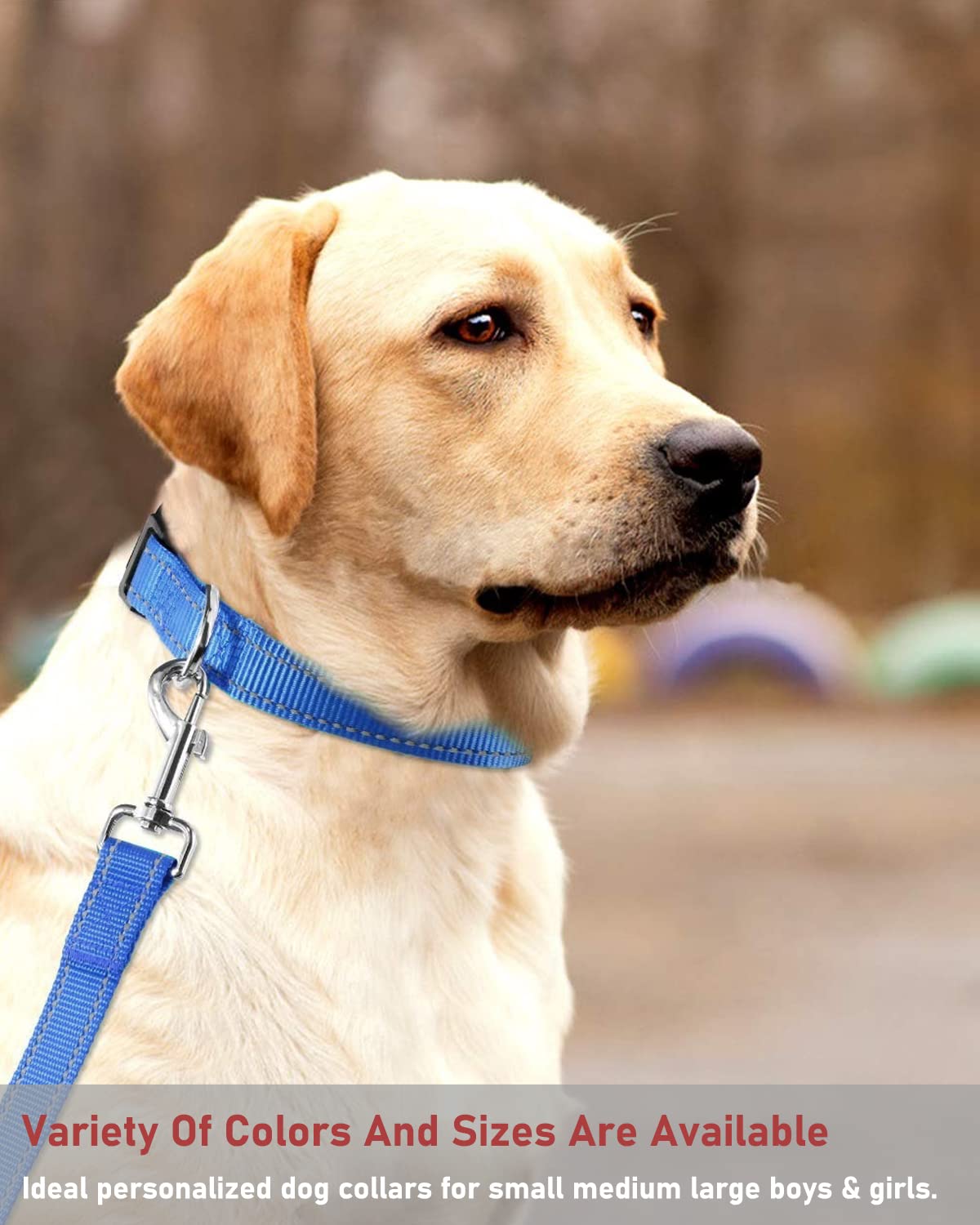 Reflective Dog Collar With Buckle Adjustable Safety Nylon Collars For Small Medium Large Dogs, Navy Blue L