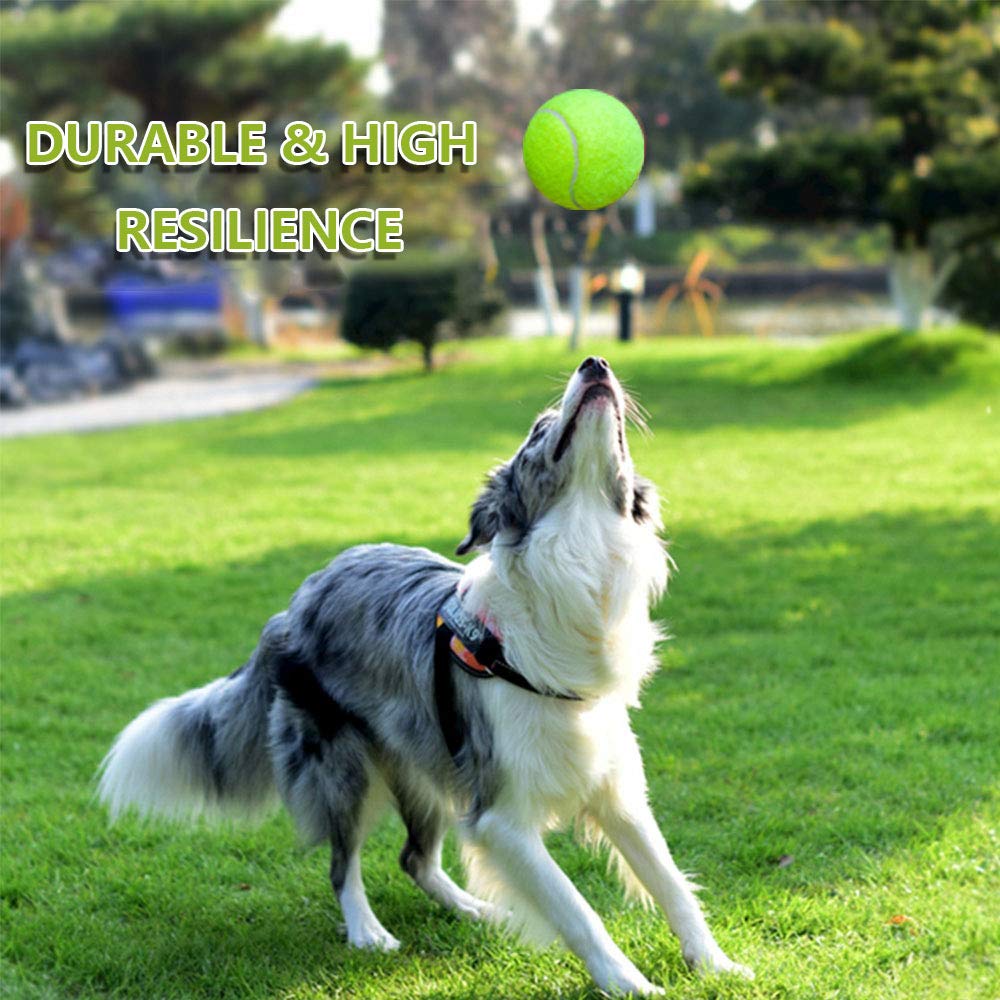 Besthls Dog Ball 2.5 Inch Tennis Dog Treat Ball For Small Medium Pet Peppy Playing Fetching Chewing Exercise & Training Indoor Outdoor (16 Pack)