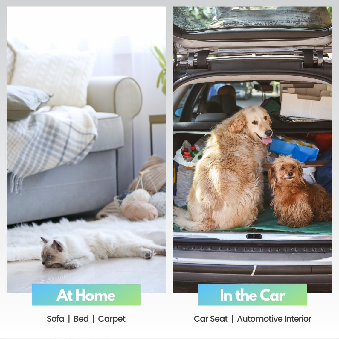Analan Mini Pet Hair Remover - Triangle Lint & Dog Hair Tool for Car Detailing, Couch, Carpet - Matte Black