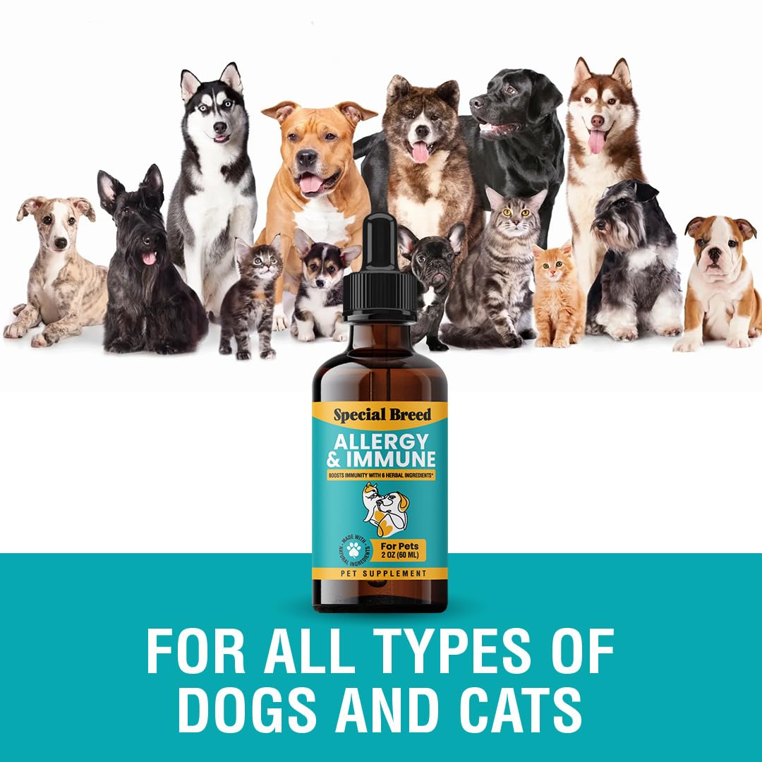 Special Breed Allergy & Immune with Elderberry, Allergy Relief for Cats and Dogs, Anti Itch Treatment, Relief for Pet Allergies,