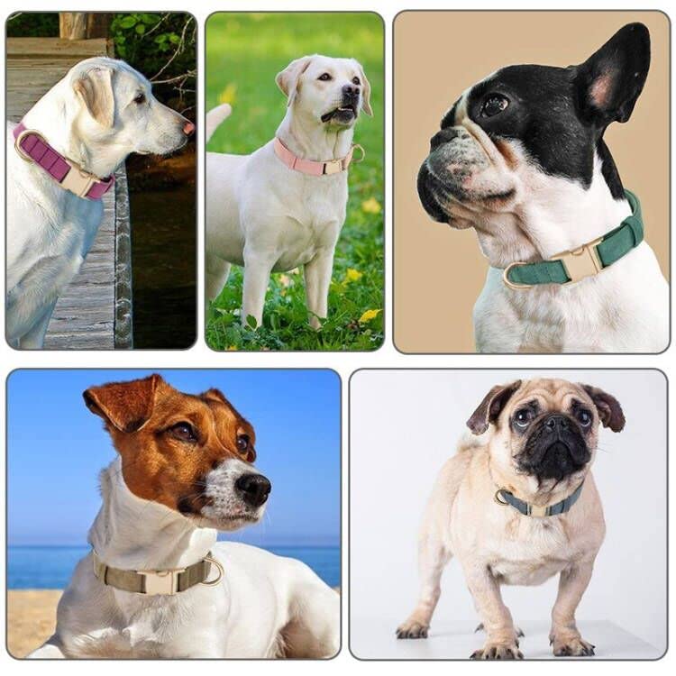 Petiry Soft Corduroy Fibric Dog Collar with High Grade Metal Buckle, for Small Dogs.(Green,Small:10-15'')