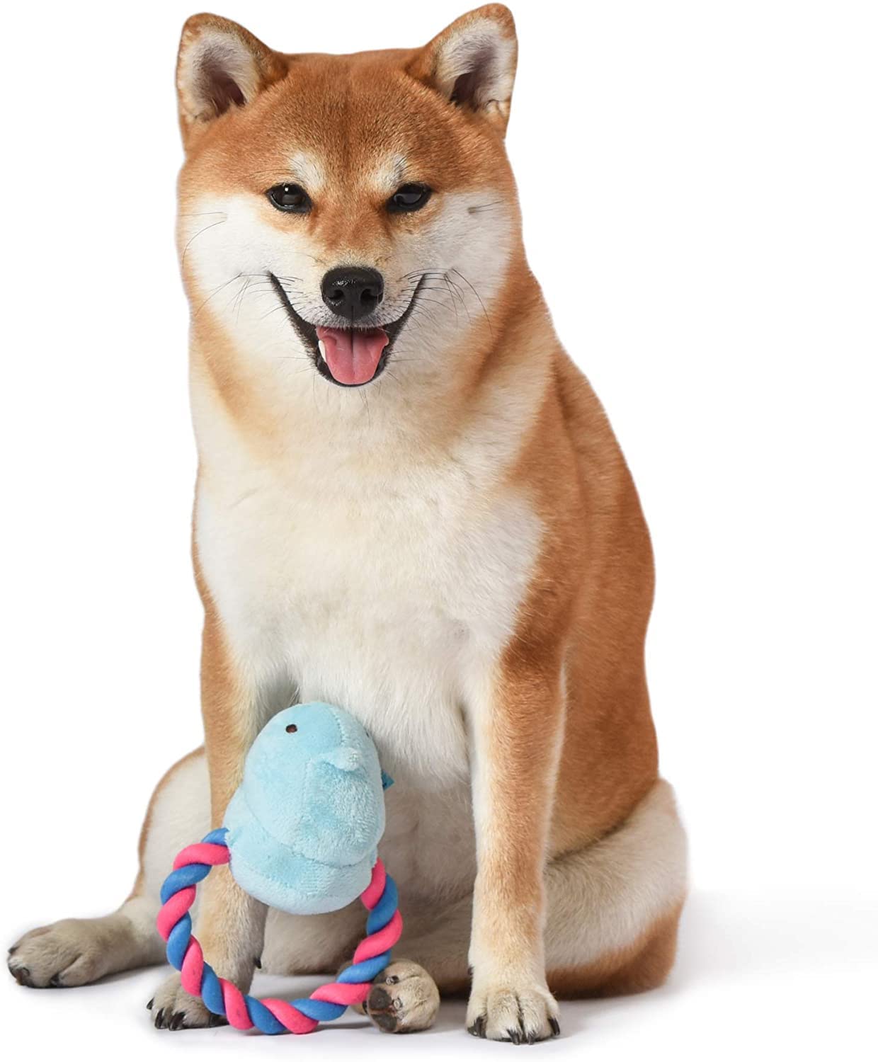 Peeps Squeaky Rope Dog Toys (Blue Chick)