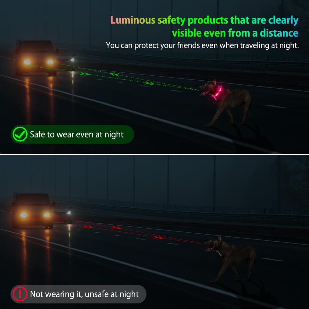 Illumifun Led Dog Collar, Usb Rechargeable Light Up Dog Collar Glow In The Dark, Adjustable Safety Pet Collar For Night Walking