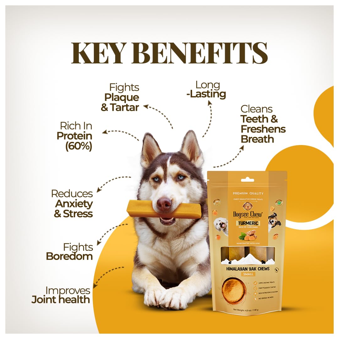 Dogsee Himalayan Yak Cheese with Turmeric 1lb (Small - 13 Pieces) | Rawhide-Free Treats for Small Dogs | Supports Joint Health |
