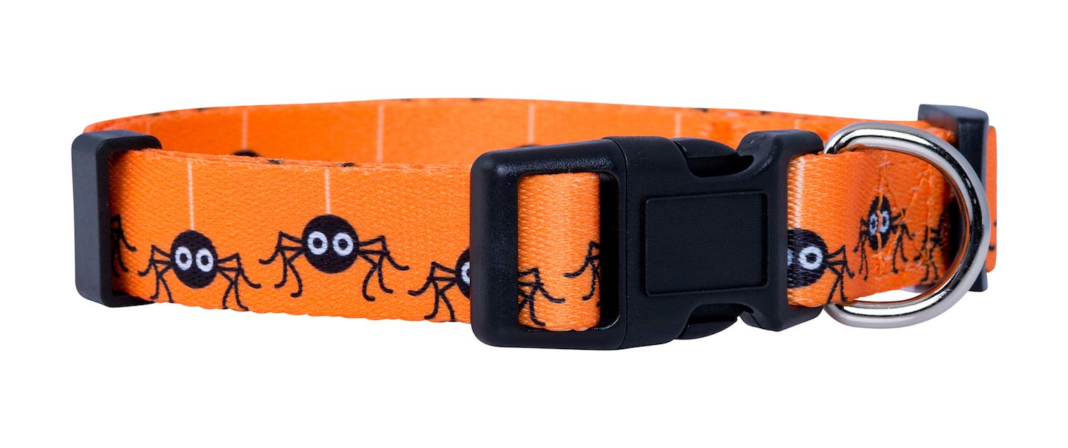 Native Pup Halloween Dog Collar (Small, Spiders)