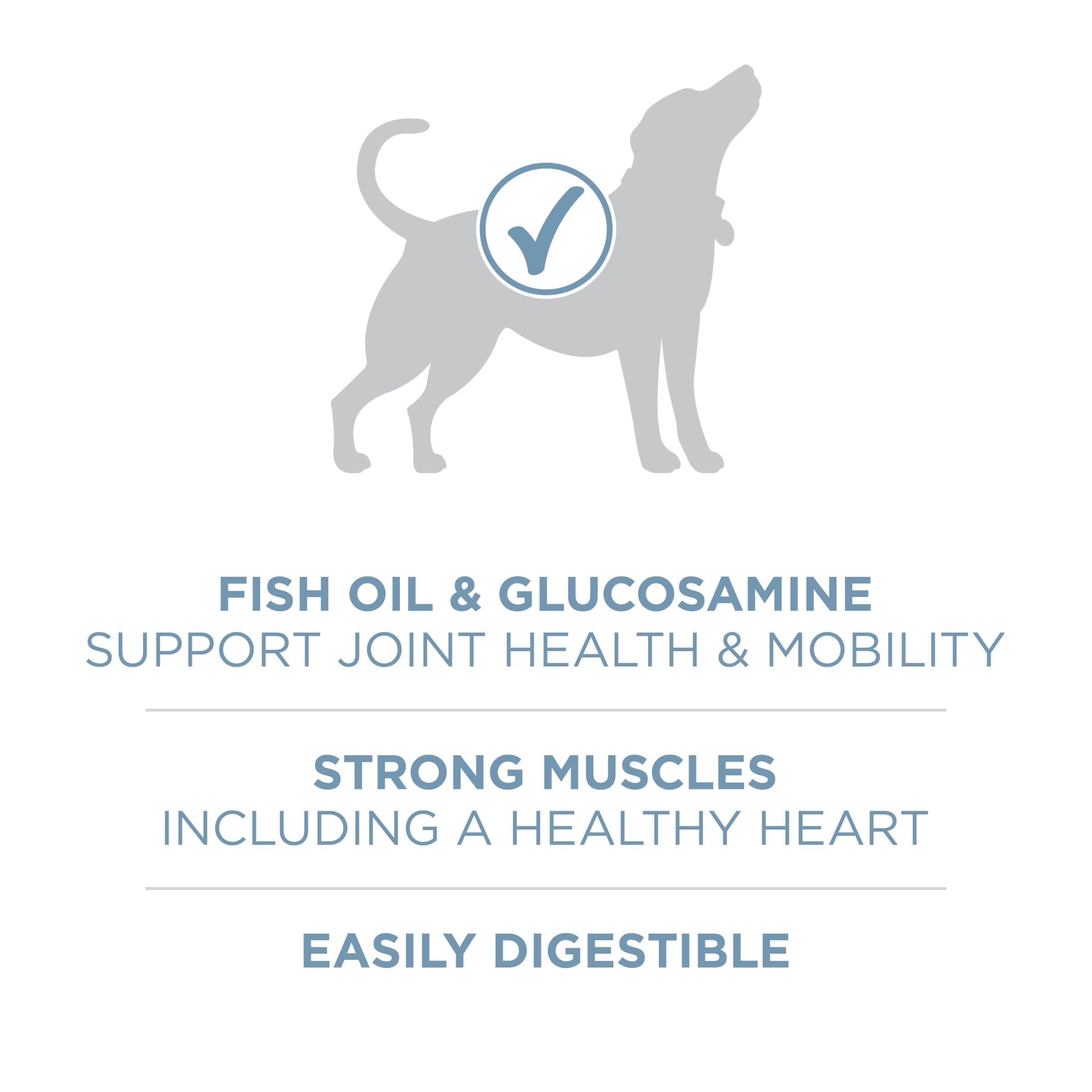 Purina ONE Plus Joint Health Formula Natural With Added Vitamins, Minerals and Nutrients Dry Dog Food - 16.5 lb. Bag