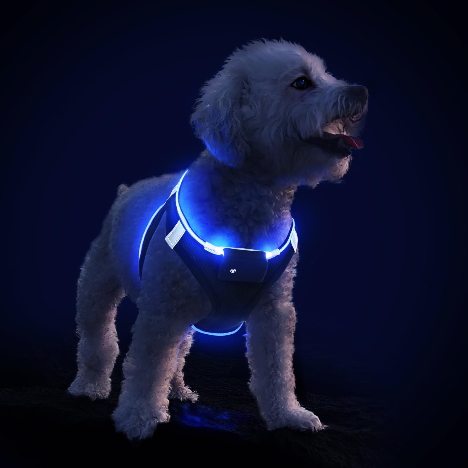 Pceotllar Light Up Led Dog Harness - Rechargeable No Pull Reflective, Flashing For Night Walking (Blue, Xs)
