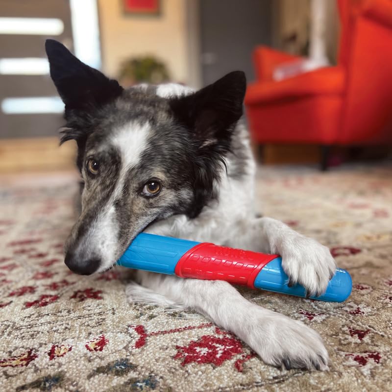 KONG CoreStrength Rattlez Ball Dog Toy - Durable Textured Material, Large, Blue/Red