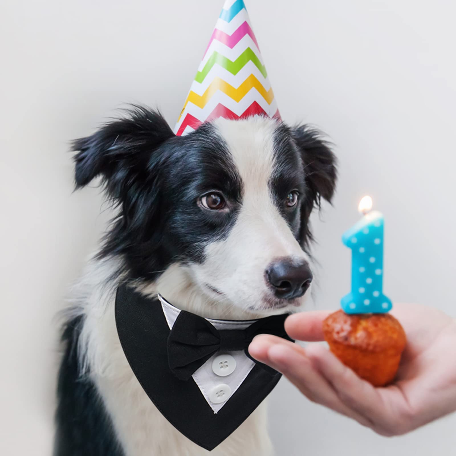 Fuamey Dog Tuxedo,Formal Dog Wedding Bandana Dog Collar With Bow Tie Dog Birthday Costume Adjustable Pet Party Tux Dog Wedding Attire,Dog Valentines Outfit Cosplay For Small Medium Large Pets Grey L