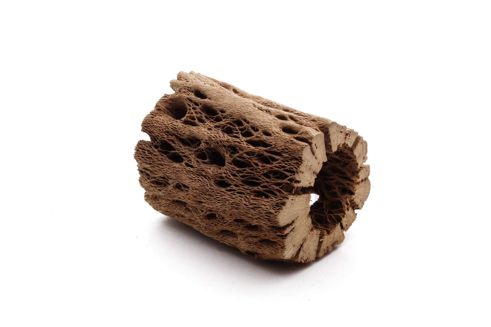 3, 6, 9, 12 Inch All Natural Teddy Bear Cholla Wood Extra Hollow Untreated Organic Aquarium Driftwood Decoration Chew Toy Shrimp