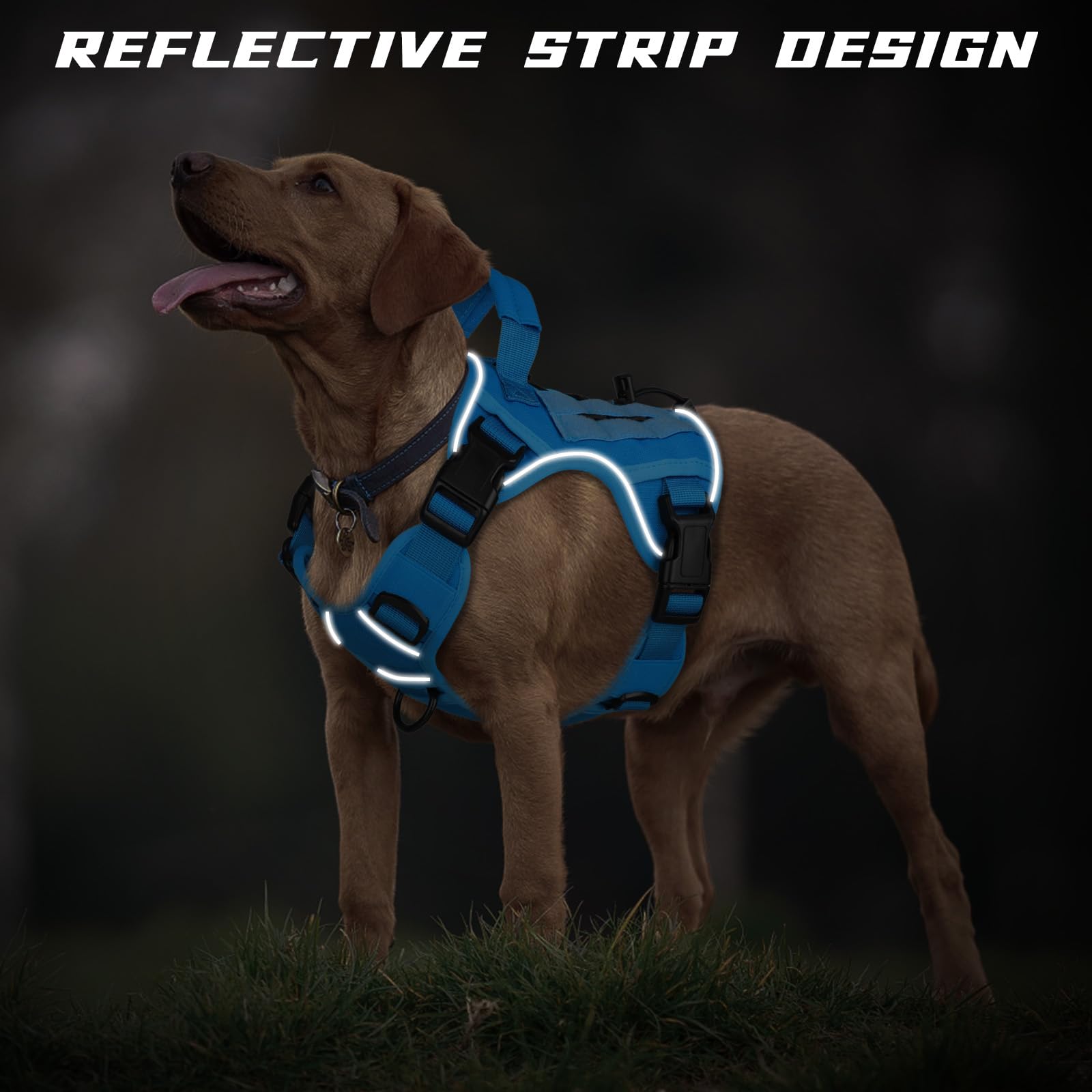 Wingoin Blue Tactical Dog Harness For Medium Small Dogs No Pull Adjustable Pet Harness With Handle Reflective K9 Military Service Dog Vest For Walking Hiking Training (S)