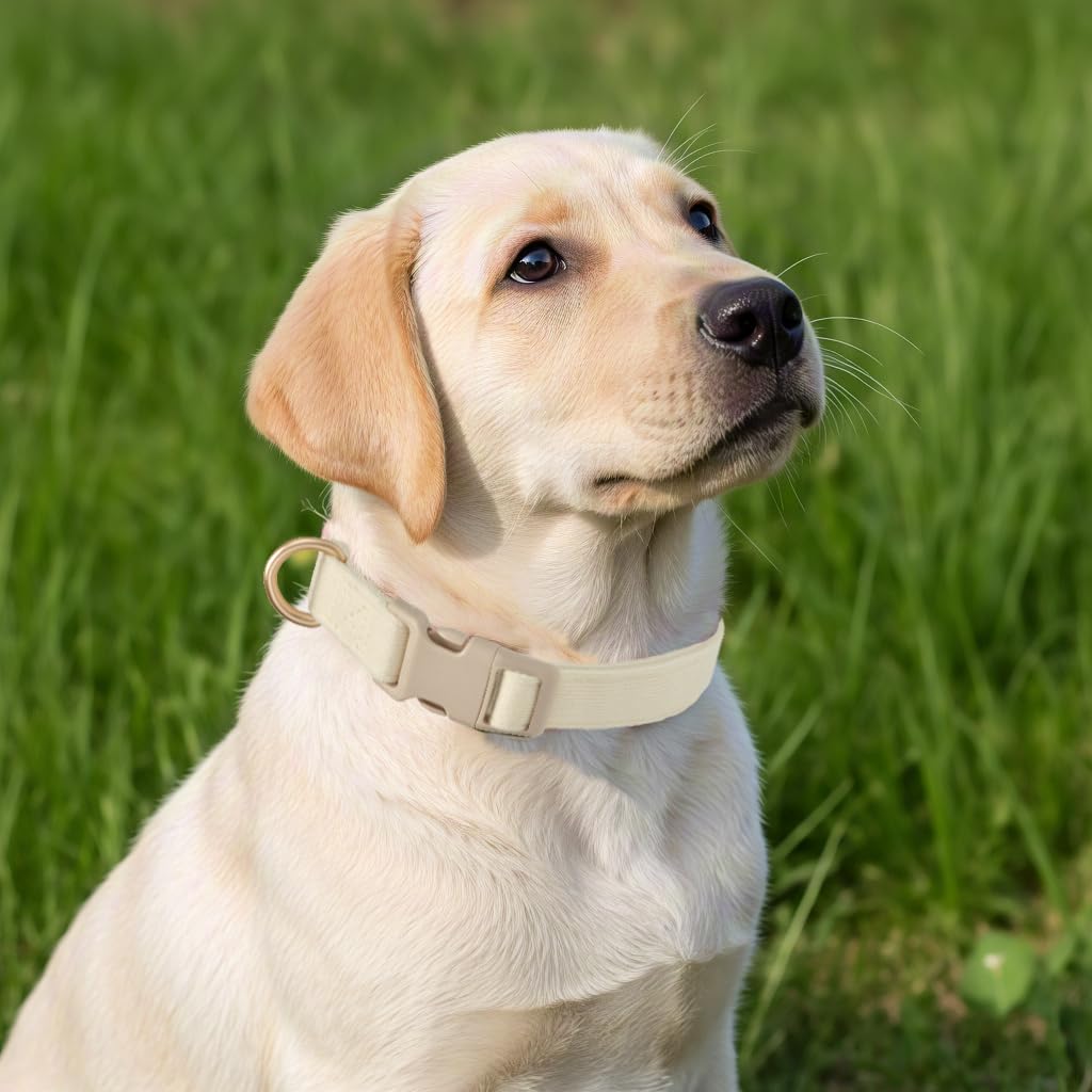 Yudote Soft Cotton Dog Collar Adjustable Corduroy Dog Collars For Small Medium Large Dogs(White,Large)