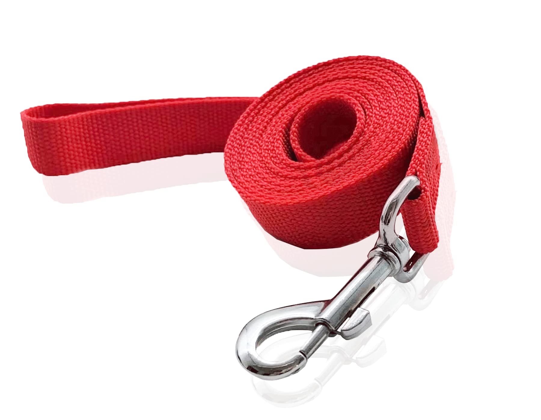 Nylon Dog Leash 12 Feet Long, Walking Training Dog Leashes For Medium Large Dogs(1'' X 12 Ft, Red)