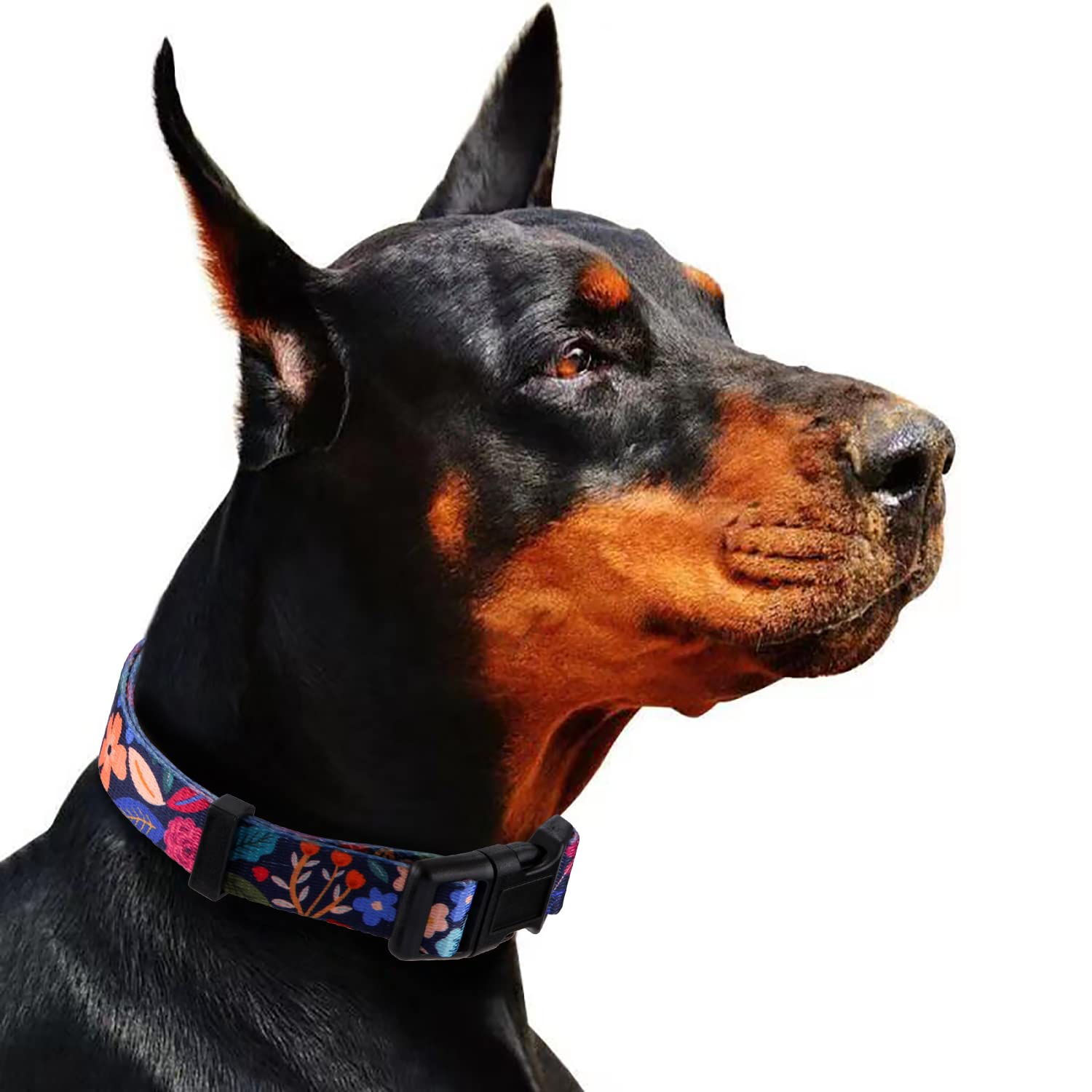 Rhea Rose Dog Collar For Medium Dogs Special Design Cute Floral Plant Pattern Girl Female Pet Collar (Black, M)