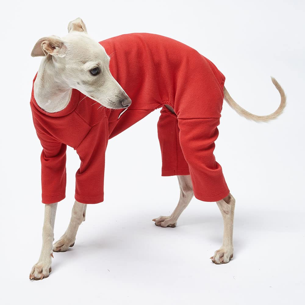 Lucky Petter Pajamas For Small Dogs - Basic Onesie Jammies, Stretchable Jumpsuit Bodysuit Pjs (Basic Red, 2X-Large)