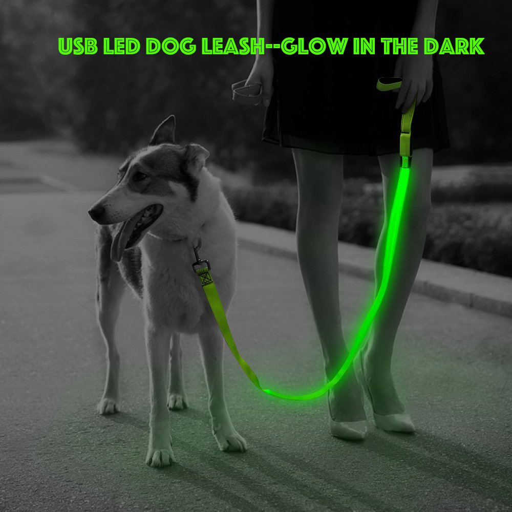 Illumifun Led Dog Leash, Usb Rechargeable Pet Leash Glow In The Dark, 47.2Inch Nylon Light Dog Leash For Your Dog Walking At Night (Green ?)
