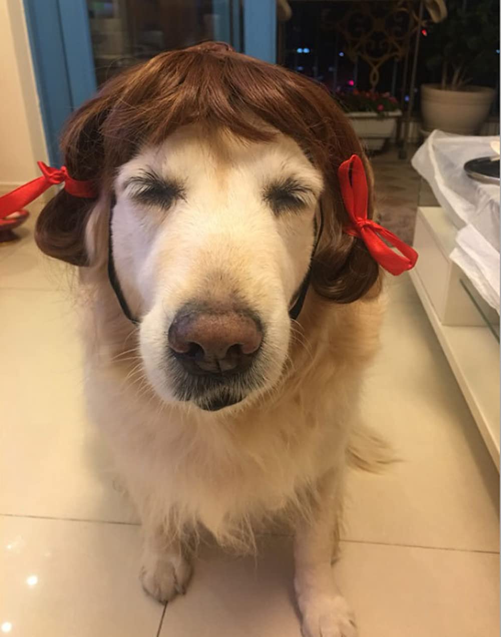 Dog Wig Pet Costumes, Cat Costume Synthetic Accessories Small Dog Headwear For Halloween Christmas Eve Festival Party Decor, Head Wear Apparel Toy (C)