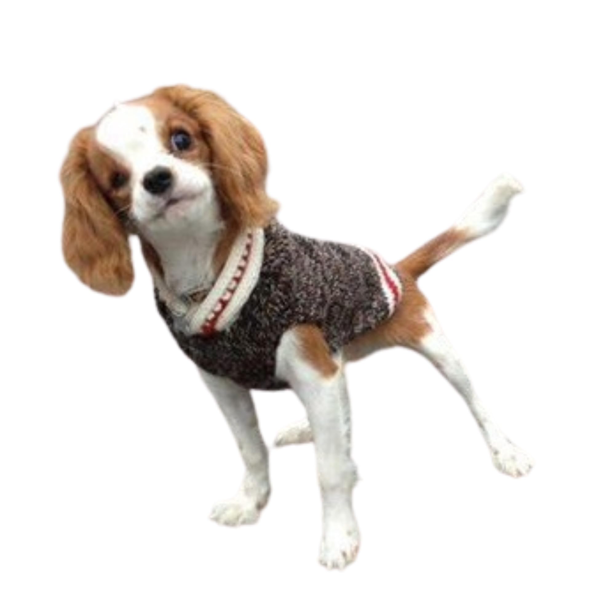 Boyfriend Dog Sweater (Small)