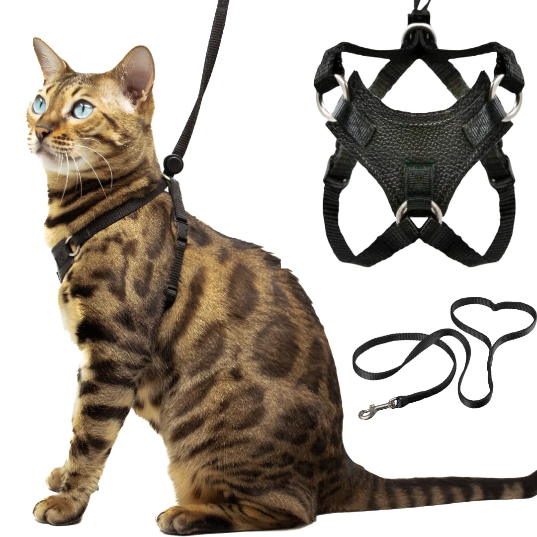 Houdini Escape Proof Cat Harness and Leash Set by OutdoorBengal for Walking Cats and Kittens (Leather, Large Cat)