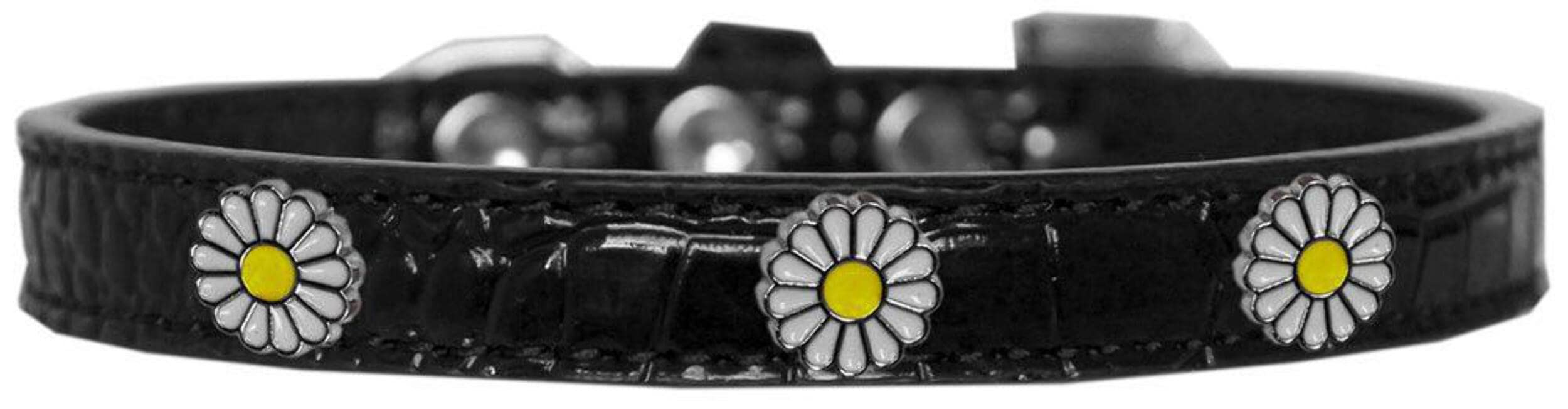 Dog, Puppy & Pet Designer Croc Widget Collar, "White Daisies" Purple 12