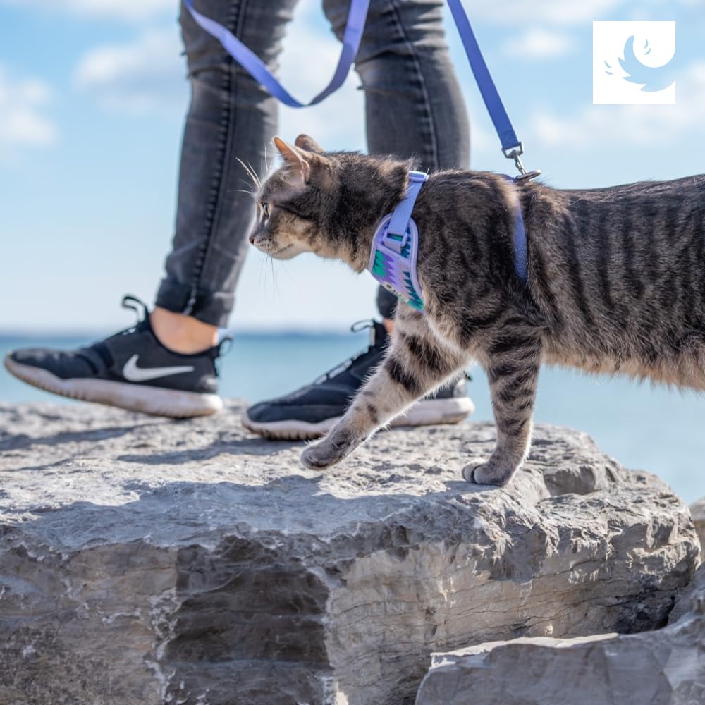 RC Pet Products Adventure Kitty Harness, Small, Mesh, Maldives, Model 53803335