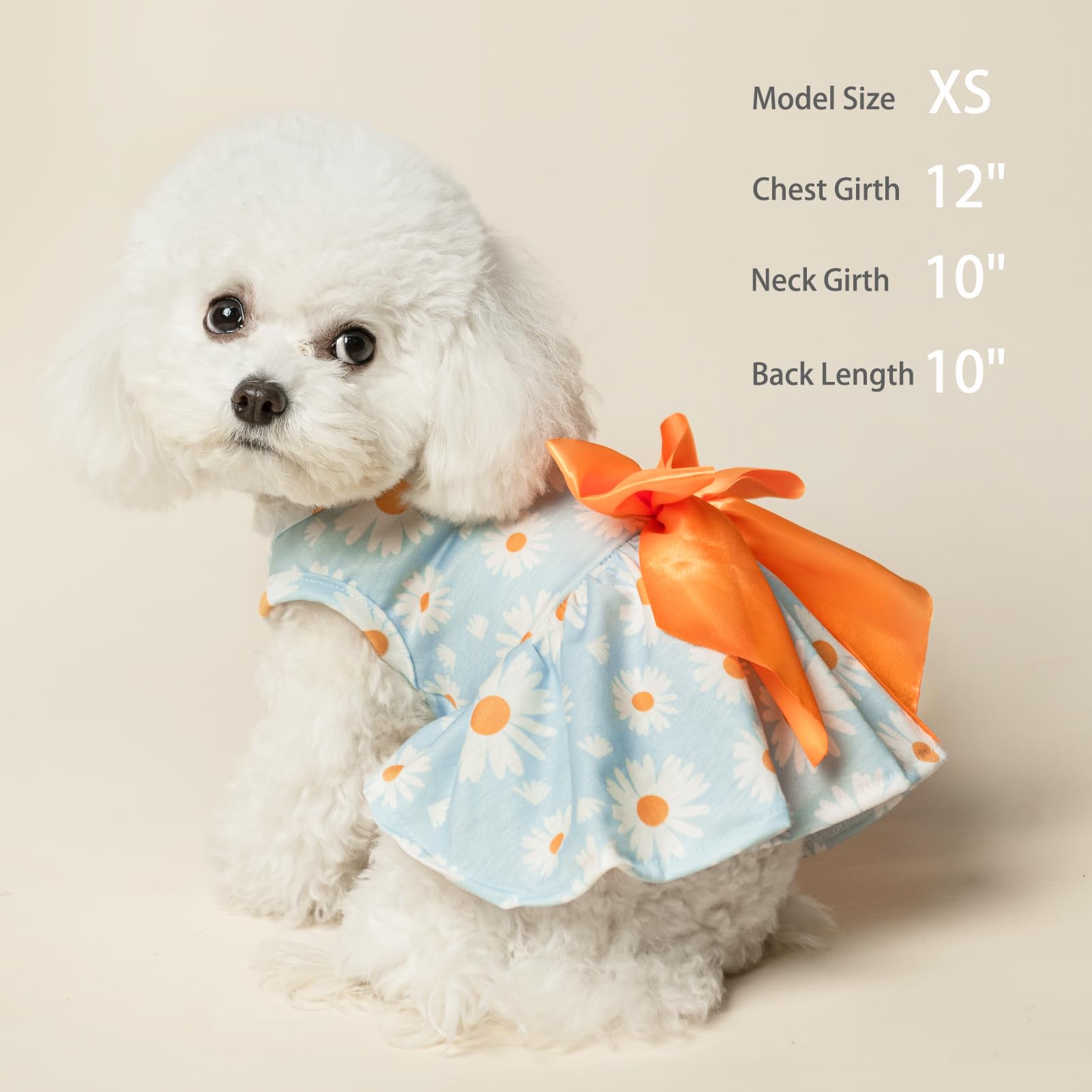 Pupteck Floral Dog Dress For Spring Outfit Puppy Cute Small Dogs Clothes,Daisy,Xs