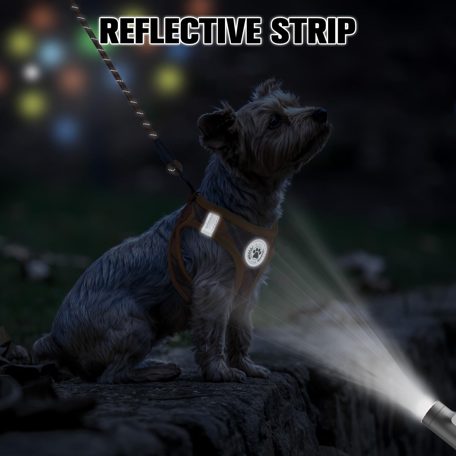 Beautyzoo Step In Dog Harness And Leash Set, Reflective Dog Harness No Pull No Choke Puppy Harness For Extra Small Dogs Cats, So