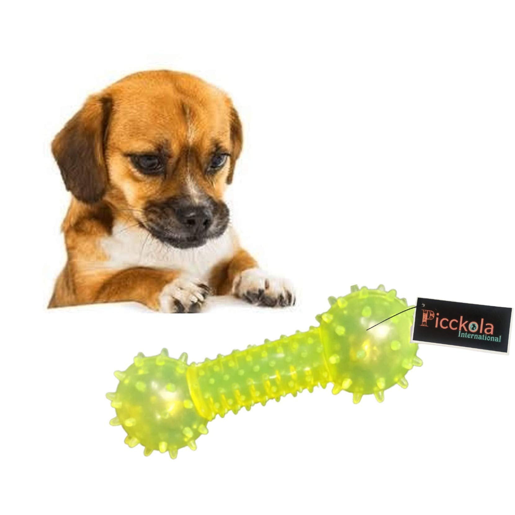 Picckola International 100% Non Toxic Rubber Flavoured Puppy Toy Chew Toy Teething Toy (Flavoured Spike Dumbbell With Bell, Colo