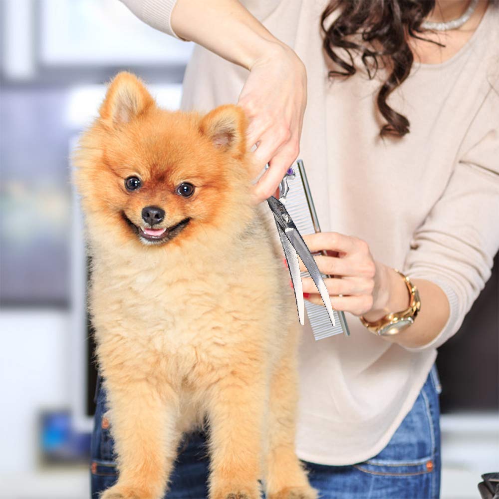 Grooming Pet Shear, 65 Inch Downword Curved Scissors, Curved Shears For Cat Shears And Small Dog Shears Or Any Breed Trimming Cu