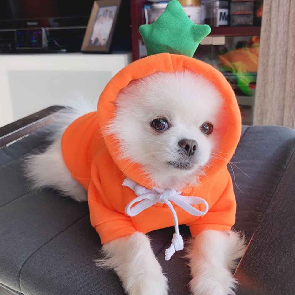 Aniac Funny Pet Clothes For Small Dog Cat Carrot Hoodies Warm Sweatshirt Coat With Fruit Hood Fall Puppy Cat Sweater Halloween E