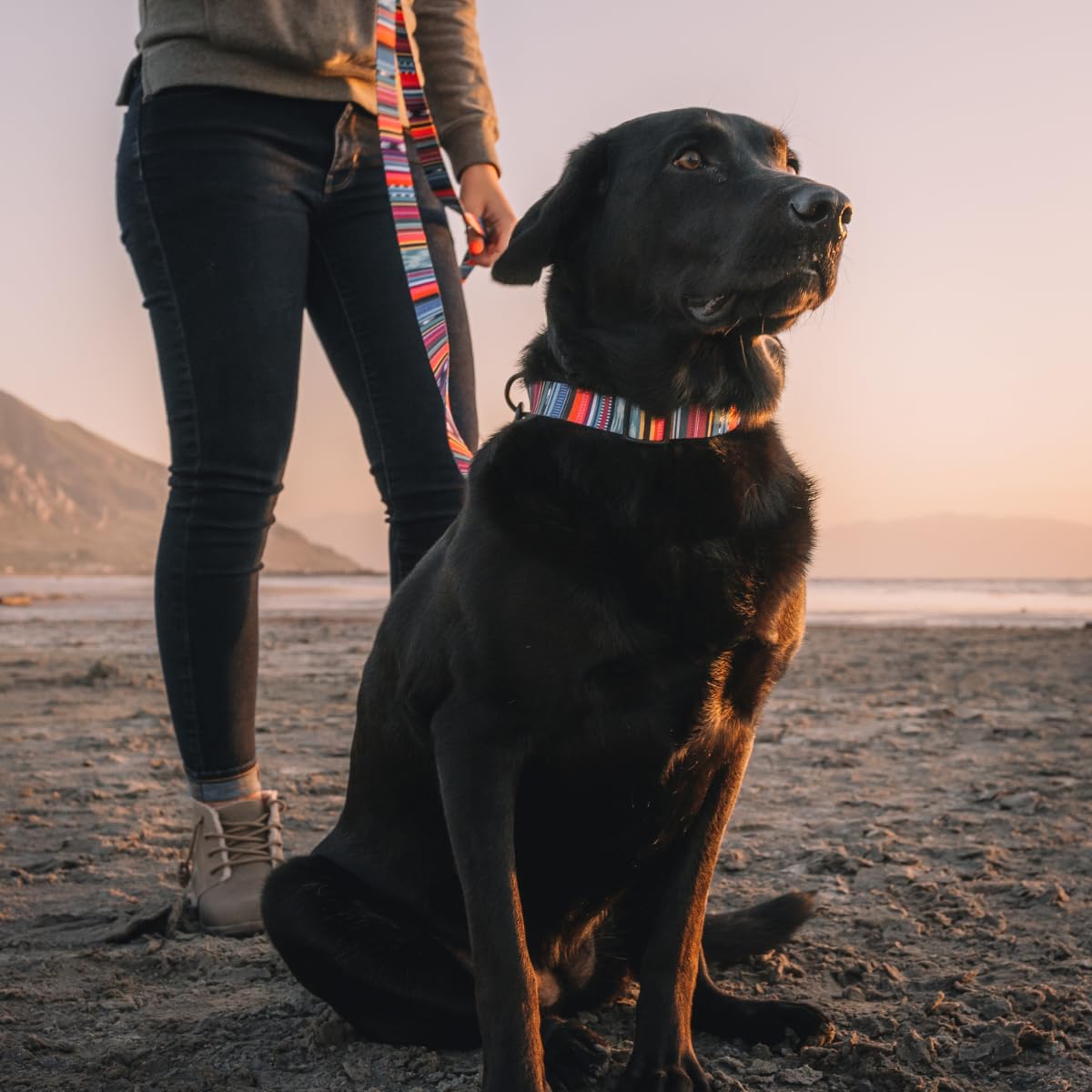 Wolfgang Heavy Duty Dog Leash, Pull-Tested To Over 800 Lbs For Walking & Training, Quetzal Print, Large