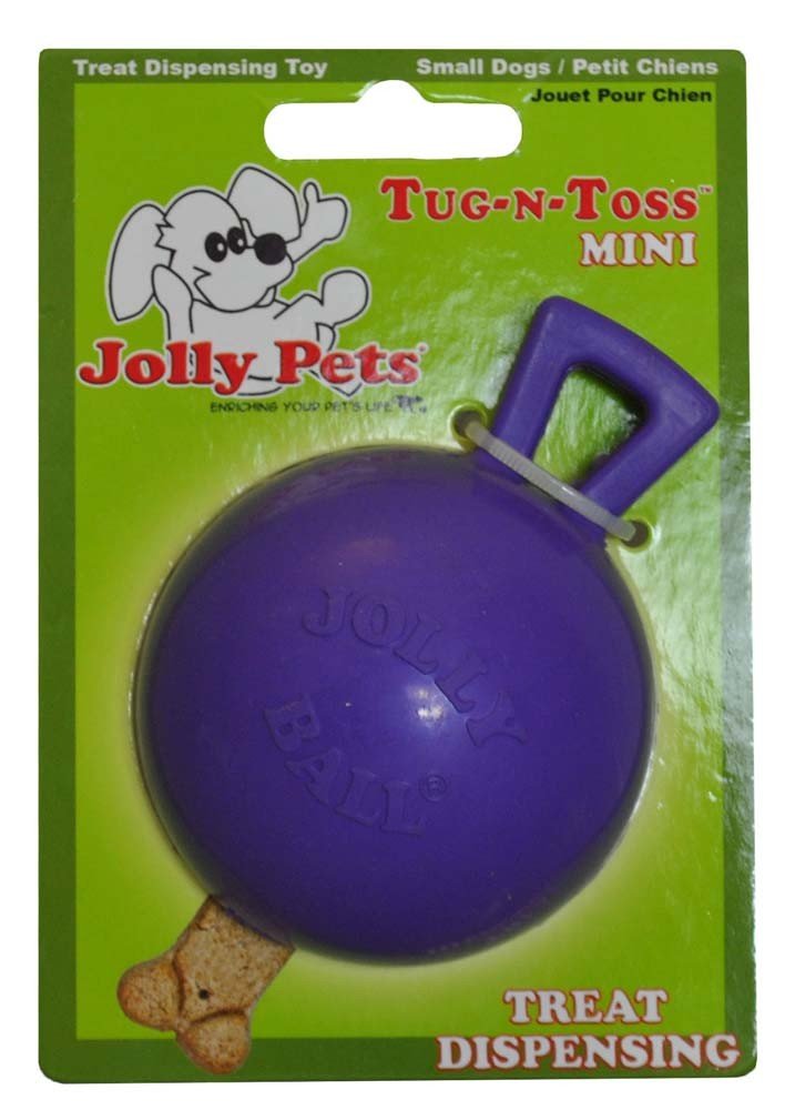 Jolly Pets Tug-N-Toss Heavy Duty Dog Toy Ball With Handle, 4 Inches/Petite, Purple (404 Pr)