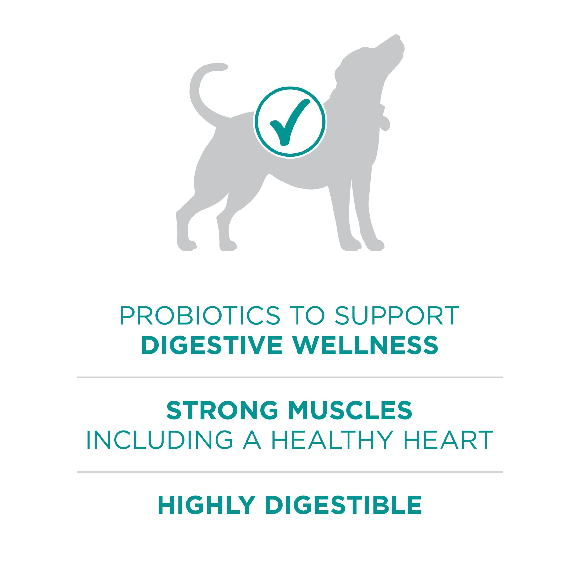 Purina One Plus Digestive Health Formula Dry Dog Food Natural with Added Vitamins, Minerals and Nutrients - 31.1 lb. Bag