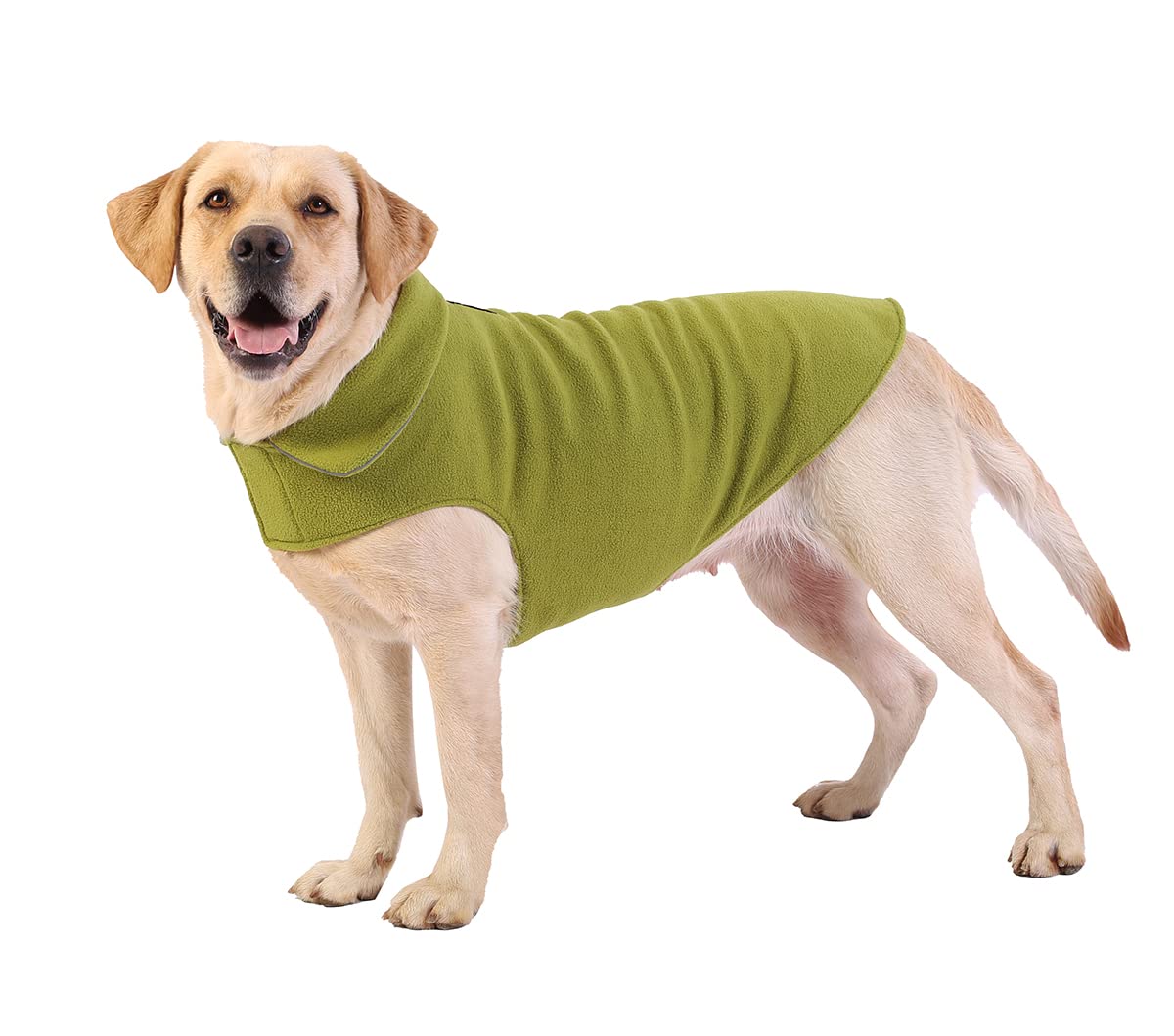 Fleece Dog Coat Pet Jacket Reflective For Cold Weather For Extra Large To Small Pets(Green,S)