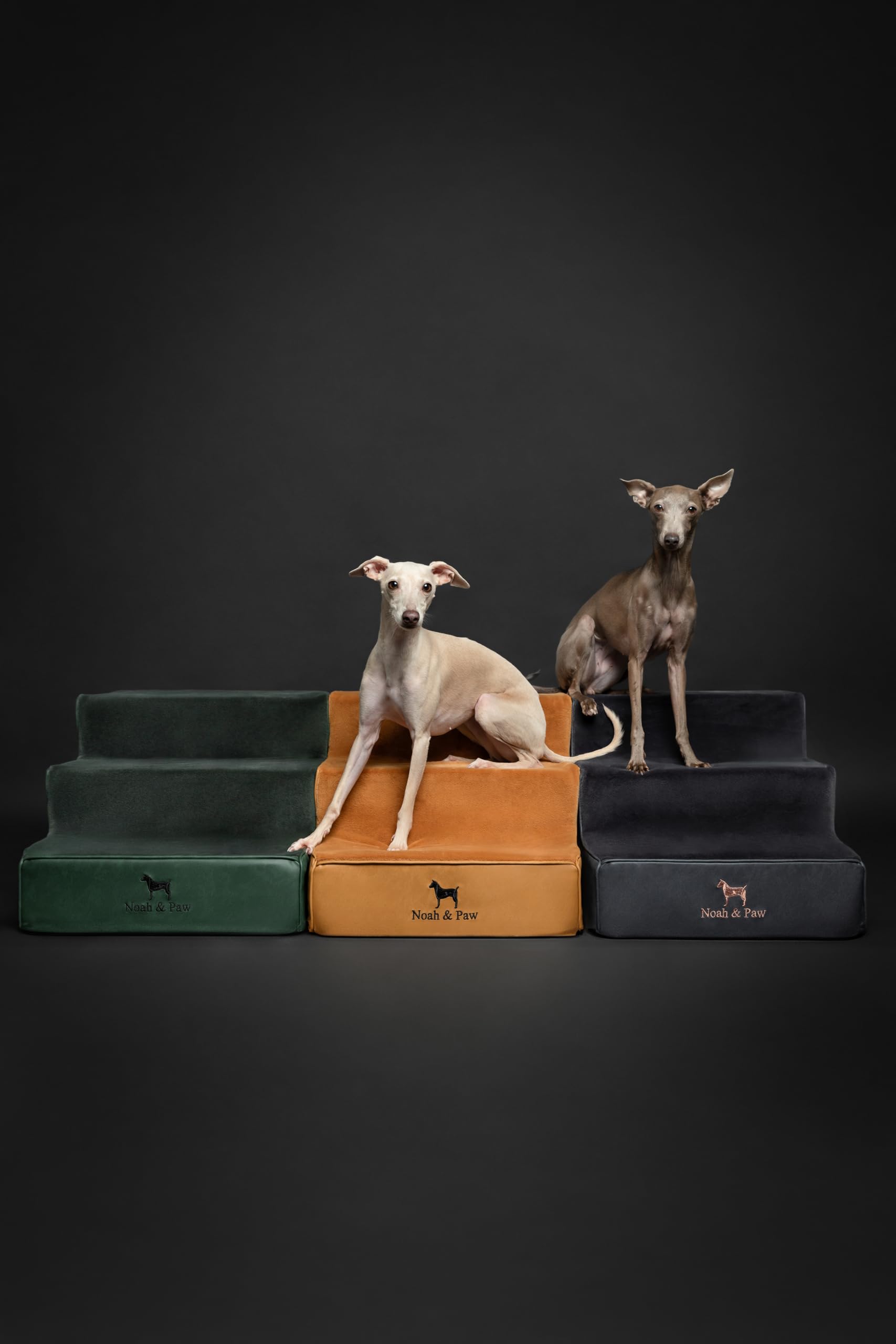 Noah & Paw Dog Stairs, Dog Ramp for Bed (16 Extra Wide) Pet Stairs for High Bed, Design to Fit Small and Large Breeds, Durable 3