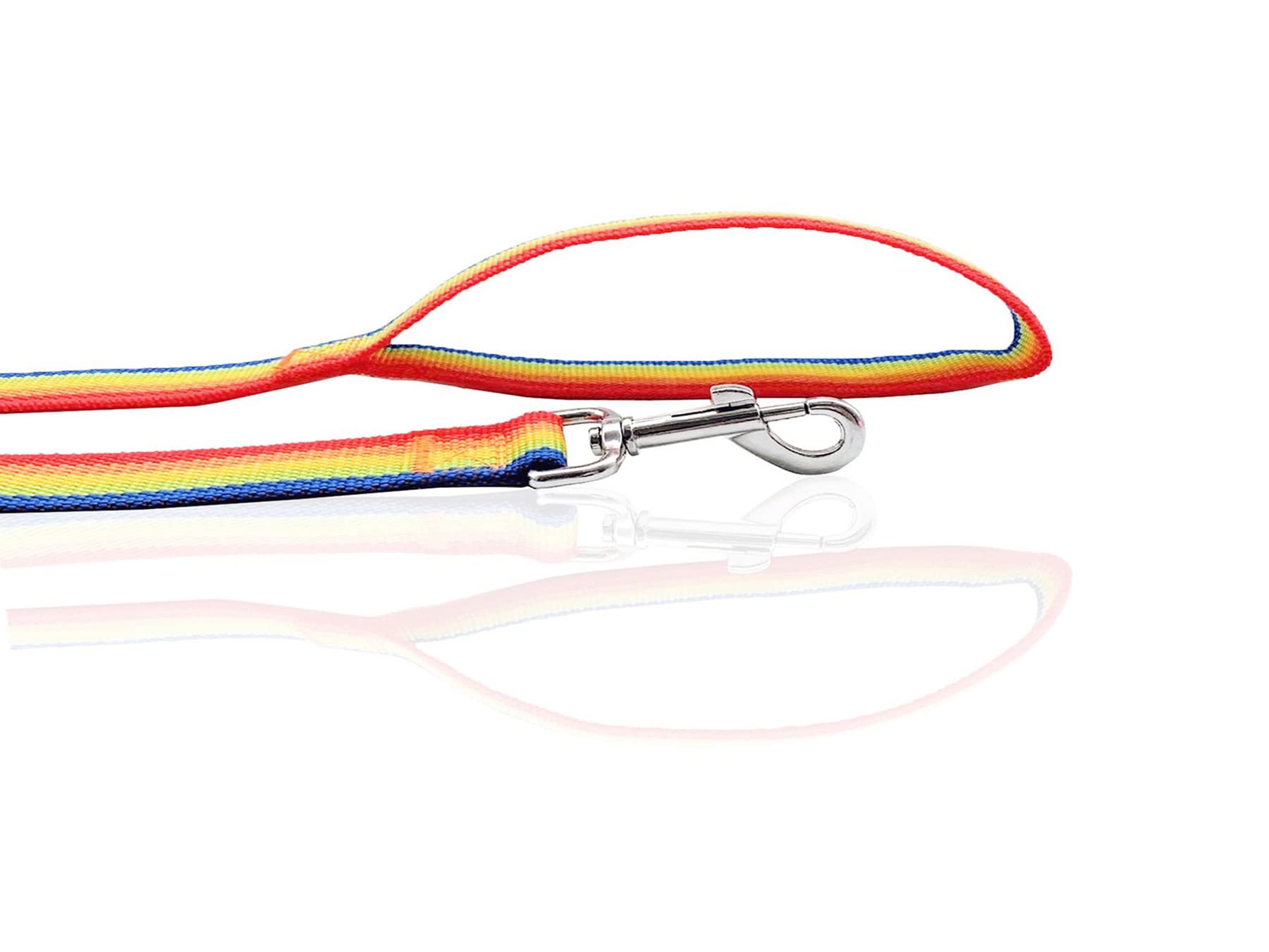 Nylon Dog Leash 12 Feet Long, Walking Training Dog Leashes For Medium Large Dogs(1'' X 12 Ft, Rainbow)