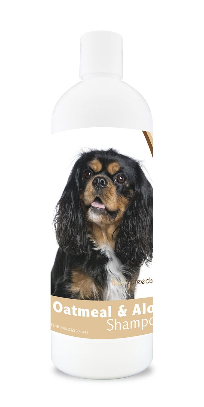 Healthy Breeds Cavalier King Charles Spaniel Oatmeal Shampoo with Aloe - 16 oz, Gentle Formula for Healthy Coat
