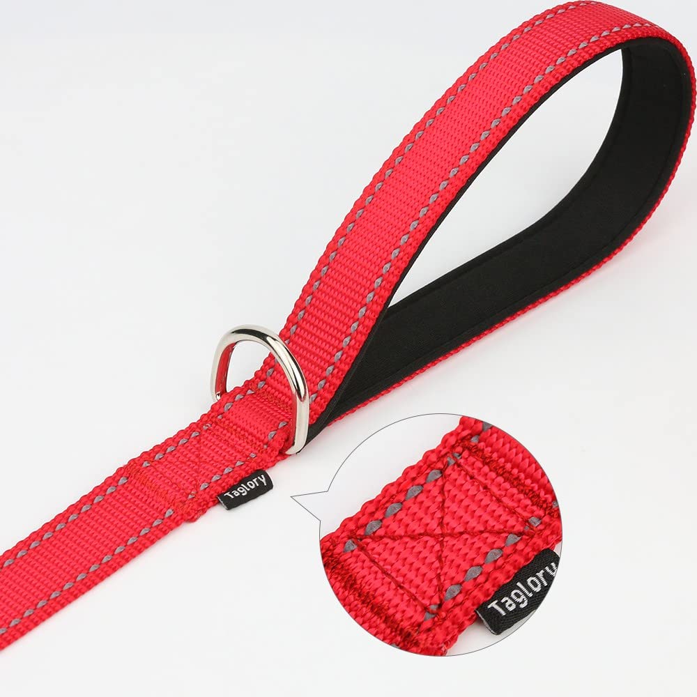 Taglory Nylon Dog Leash 6Ft, Soft Padded Handle Pet Reflective Leashes For Medium Large Dogs Walking & Training, Red