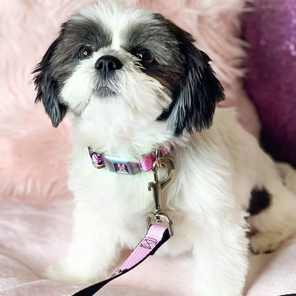 Buckle-Down Seatbelt Buckle Dog Collar - Minnie Mouse Expressions Polka Dot Pink/White - 1' Wide - Fits 15-26' Neck - Large