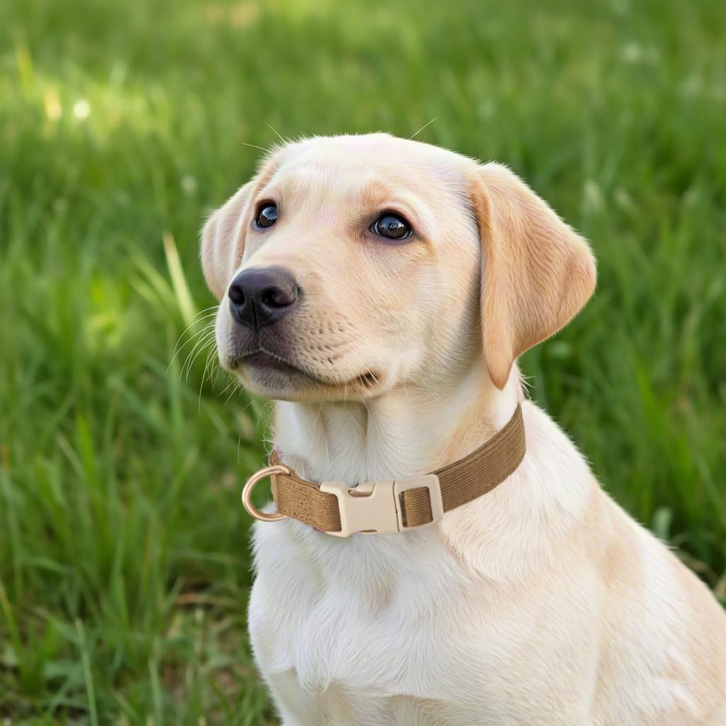 Yudote Soft Cotton Dog Collar Adjustable Corduroy Dog Collars For Small Medium Large Boy Dogs(Brown,Large)