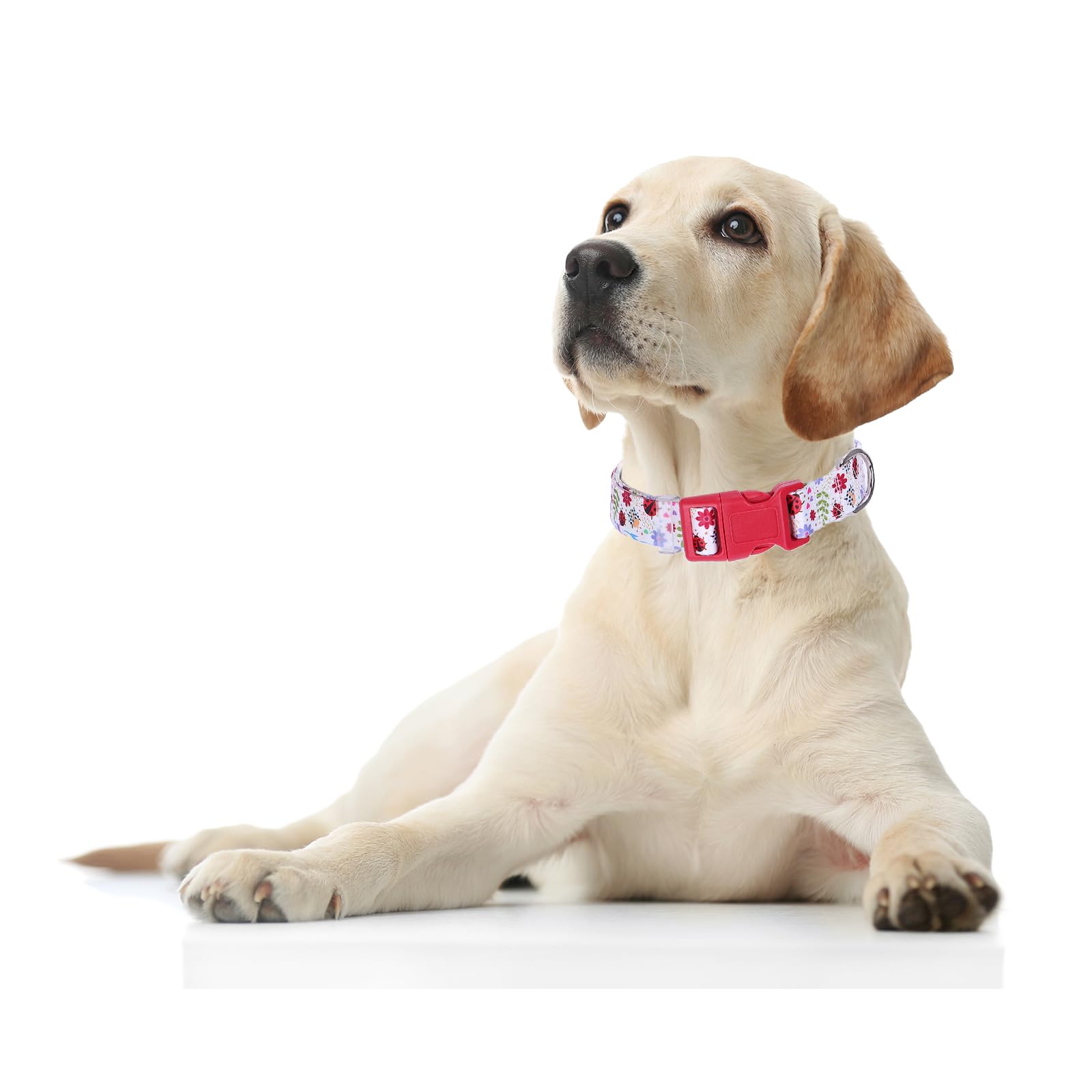 Funny Dog Collar With Girl Boy, Adjustable Nylon Comfy Soft Durable Pet Collar For Xs Small Medium Large Extra Large Dog(Xl