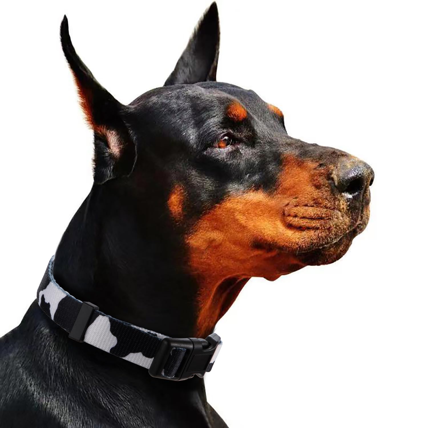 Rhea Rose Cow Print Dog Collar Animal Pattern For Dogs White Black, Medium