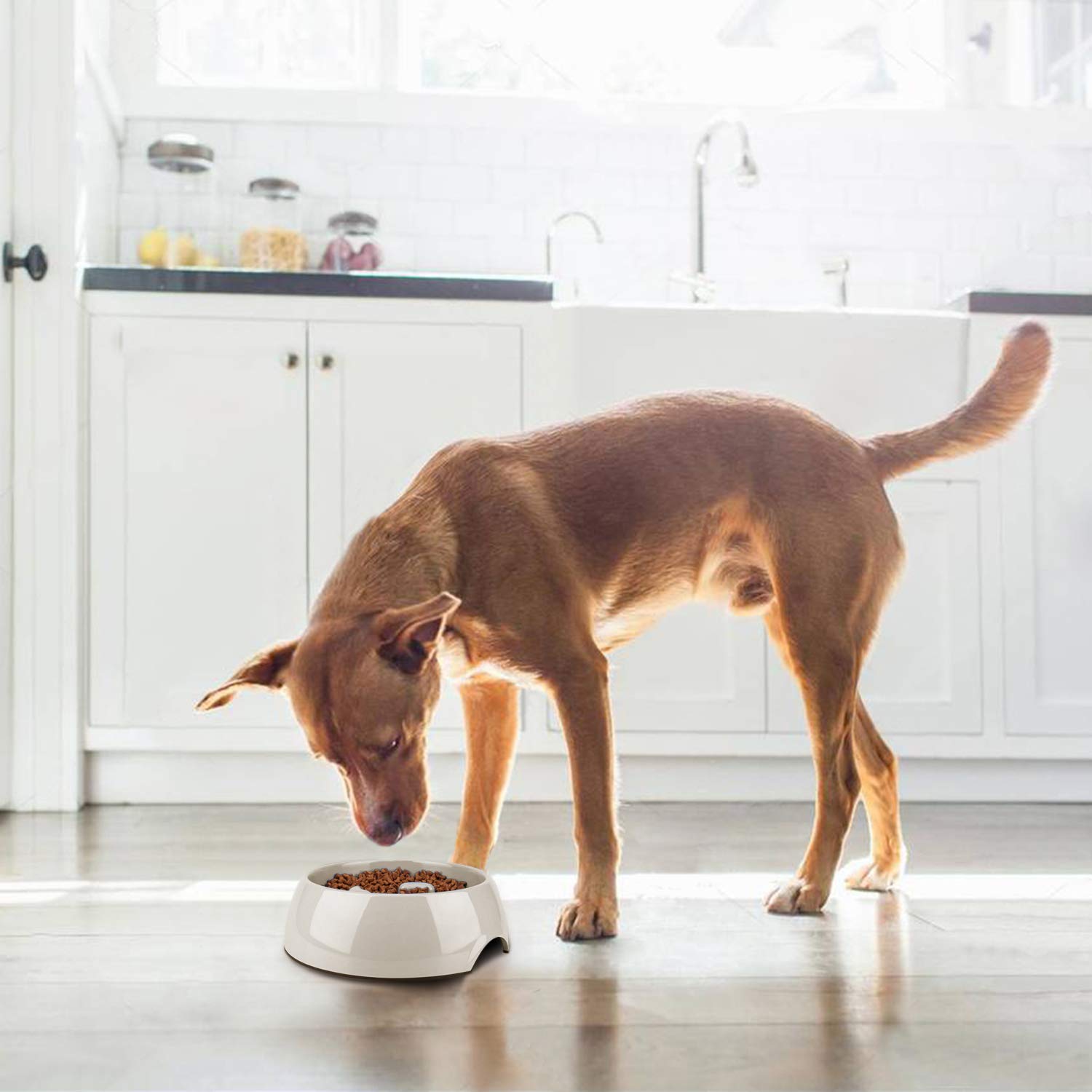 Flexzion Slow Feed Dog Bowl - Anti-Slip Slip Resistant Base Pet Animal Puppy Feeder Food Water Container Holder Dish Storage Ant
